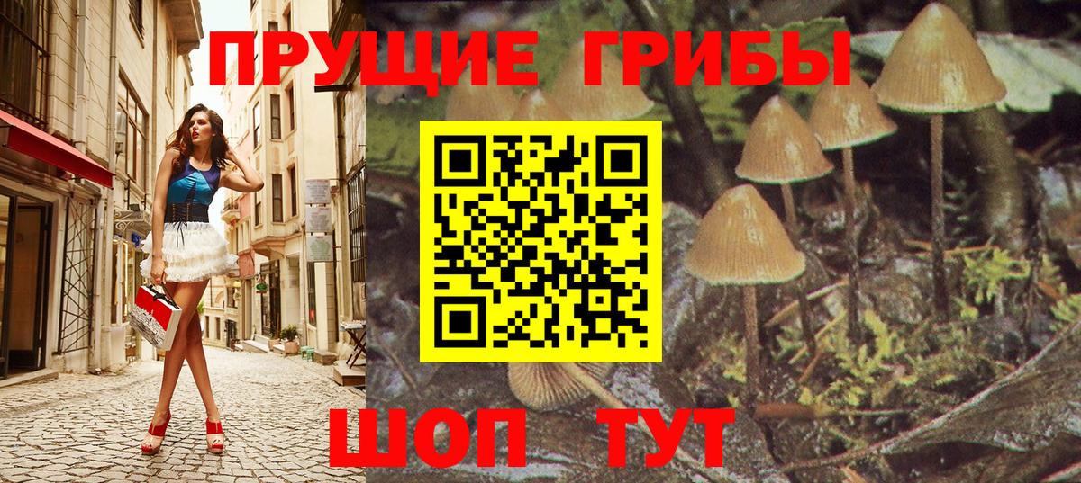 Псилоцибиновые грибы ЛСД Елизово