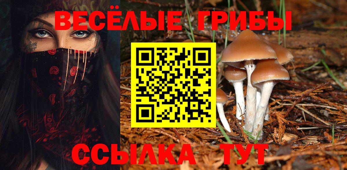 Галлюциногенные грибы мухоморы  Вход с VPN  Елизово 